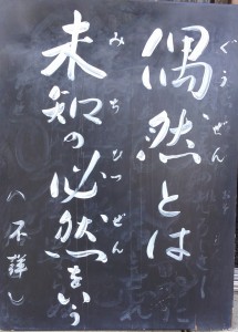 DCIM0186 のコピー